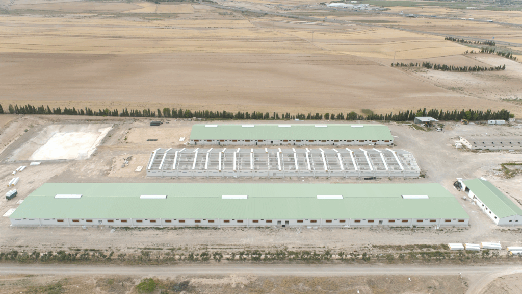 EXPLOTACIÓN PORCINA, BOQUIÑENI